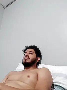 Snapshot of StripArt_ chatting on February 2, 2025, 4:15 am StripArt online show from February 2, 2025, 4:15 am