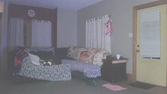 Snapshot of Smurfschmidt chatting on March 13, 2026, 3:13 am Smurfschmidt online show from March 13, 2026, 3:13 am