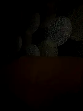 Kristis43 online show from October 31, 2025, 5:36 pm