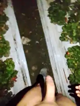 Snapshot of dfff125ff chatting on November 13, 2025, 5:39 am dfff125ff online show from November 13, 2025, 5:39 am