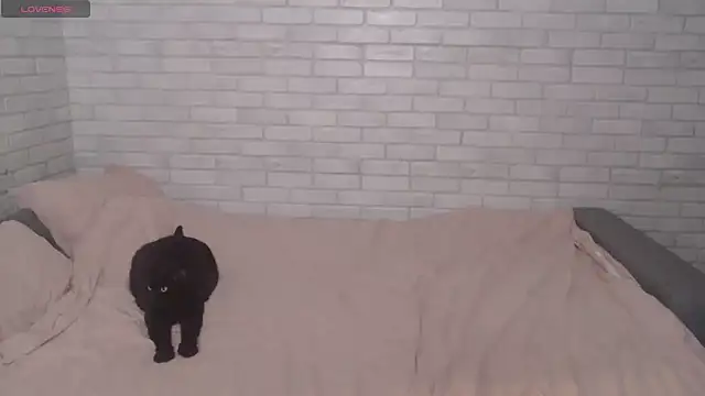 Snapshot of Fuckyoursecretary69 chatting on December 9, 2024, 12:19 pm Fuckyoursecretary69 online show from December 9, 2024, 12:19 pm