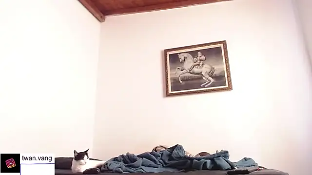 Trix fiore oficial online show from November 14, 2025, 3:55 pm