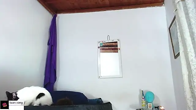 Trix fiore oficial online show from January 14, 2026, 3:01 am