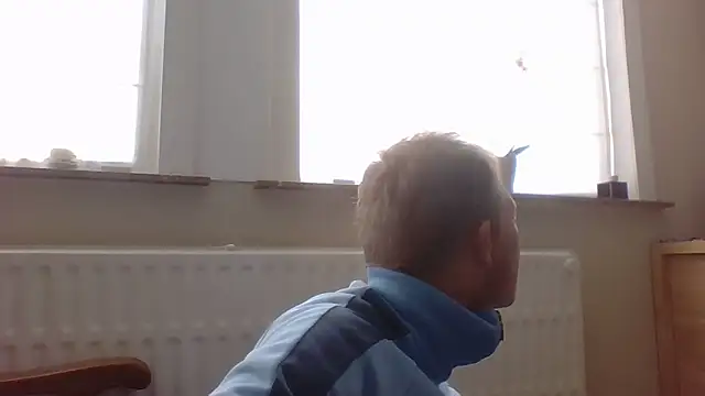 Snapshot of bertolini chatting on October 12, 2025, 1:32 pm bertolini online show from October 12, 2025, 1:32 pm