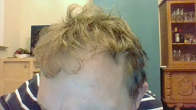 Snapshot of bertolini chatting on November 14, 2025, 4:38 pm bertolini online show from November 14, 2025, 4:38 pm