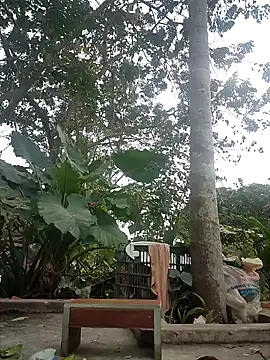 Snapshot of zizi_public chatting on December 30, 2024, 7:26 am zizi public online show from December 30, 2024, 7:26 am