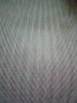 Snapshot of zizi_public chatting on March 14, 2025, 1:59 am zizi public online show from March 14, 2025, 1:59 am