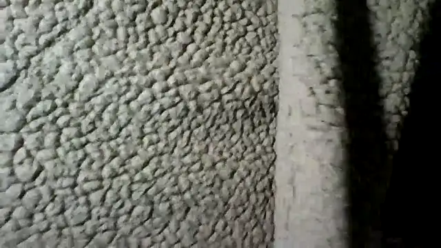 Snapshot of Daszler chatting on December 30, 2024, 10:45 pm Daszler online show from December 30, 2024, 10:45 pm