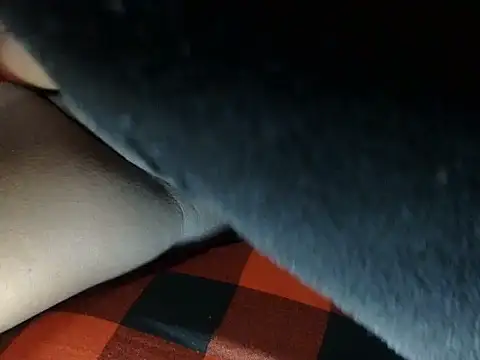 chewy-pudding online show from September 18, 2025, 3:03 pm