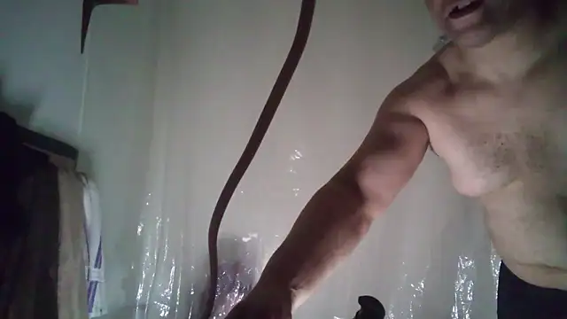 Snapshot of DreamCadian chatting on March 14, 2025, 7:26 am DreamCadian online show from March 14, 2025, 7:26 am