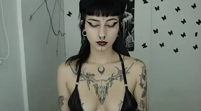 Snapshot of n0sferatus__ chatting on February 14, 2025, 3:22 am n0sferatus   online show from February 14, 2025, 3:22 am