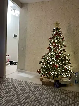 Snapshot of Big_Mini chatting on December 25, 2024, 4:43 pm Big Mini online show from December 25, 2024, 4:43 pm