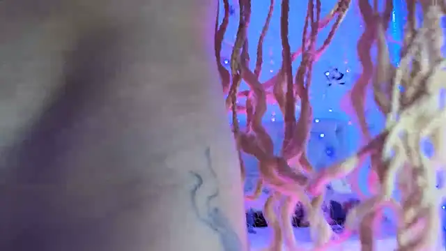 Snapshot of gabbiefoxthx chatting on February 1, 2025, 11:58 pm gabbiefoxthx online show from February 1, 2025, 11:58 pm