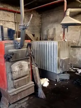 MityaXLoves online show from March 8, 2026, 5:55 am