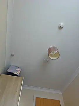 meateater1 online show from November 1, 2025, 10:39 am