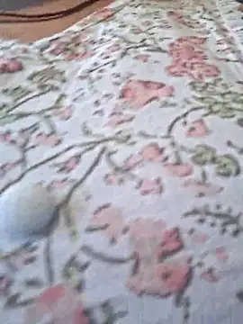 Priya Bong online show from February 24, 2026, 3:48 am