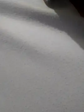  Miaaleon online show from November 16, 2025, 10:43 am