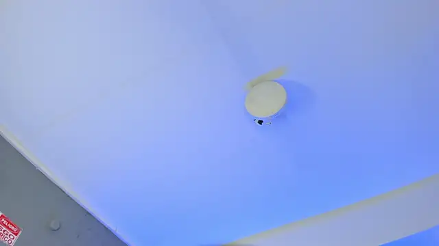 ArigyGomez online show from November 14, 2025, 11:24 pm