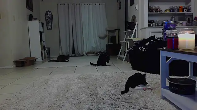 CrystalLakeXO online show from October 19, 2025, 7:42 am