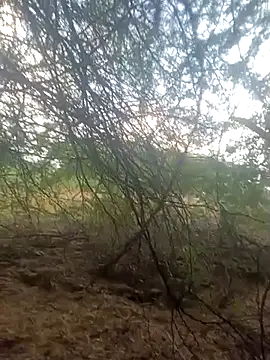 Snapshot of lovesuna chatting on September 30, 2025, 1:32 am lovesuna online show from September 30, 2025, 1:32 am