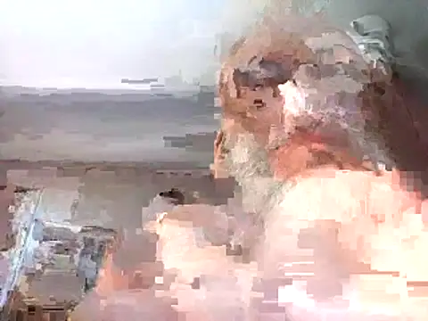 Xoc8  online show from February 26, 2026, 10:36 am