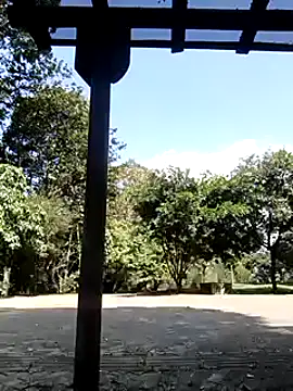 Snapshot of Rob_and_lizzy chatting on December 6, 2024, 6:39 pm Rob and lizzy online show from December 6, 2024, 6:39 pm