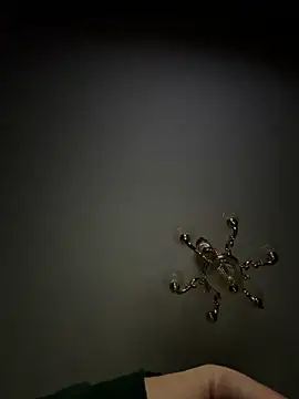 Jose rz online show from March 23, 2026, 6:50 am