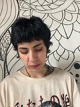  Artemisa X online show from April 17, 2026, 4:21 pm