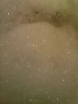 Alexweis995 online show from April 12, 2026, 2:55 pm