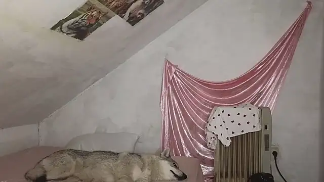 Snapshot of MAMA69LAMA chatting on March 9, 2026, 7:40 pm MAMA69LAMA online show from March 9, 2026, 7:40 pm