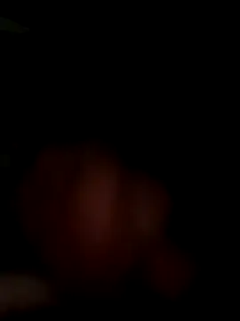 MynameisPaco online show from November 11, 2025, 8:53 pm