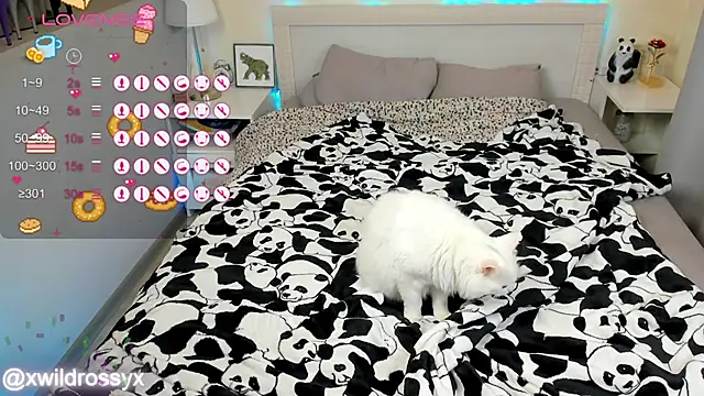 Snapshot of wildrossy chatting on October 15, 2025, 6:24 am wildrossy online show from October 15, 2025, 6:24 am