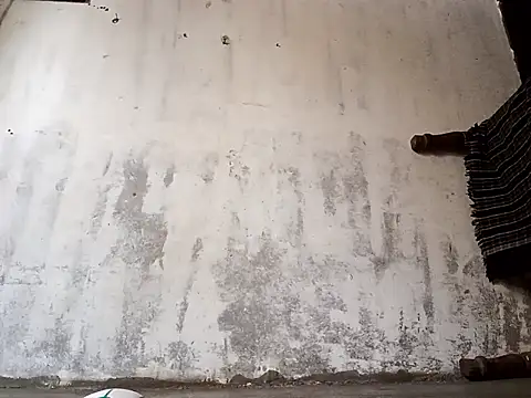 Snapshot of Yasha_14C_Creator chatting on January 17, 2026, 5:01 am Yasha 14C Creator online show from January 17, 2026, 5:01 am