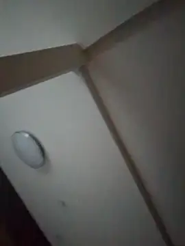 pnp0Japan online show from February 27, 2025, 8:50 am