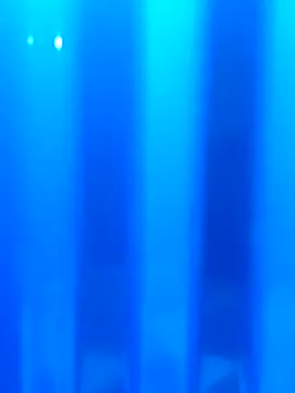 Dusto Meye online show from February 13, 2026, 5:42 pm