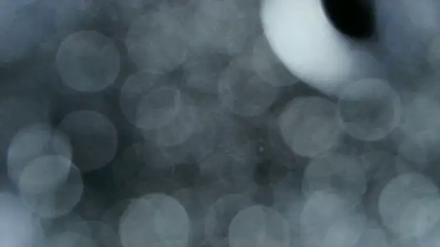 Snapshot of 0815lukas2024 chatting on December 22, 2025, 3:58 am 0815lukas2024 online show from December 22, 2025, 3:58 am