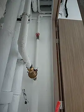 Snapshot of 2tomka52052sex chatting on January 8, 2025, 7:03 am 2tomka52052sex online show from January 8, 2025, 7:03 am