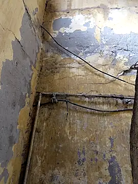 Snapshot of ListedLoin chatting on February 13, 2026, 8:32 am ListedLoin online show from February 13, 2026, 8:32 am