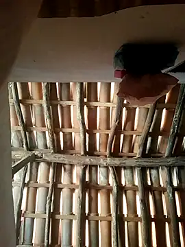 luissilva0071 online show from February 24, 2026, 12:25 pm