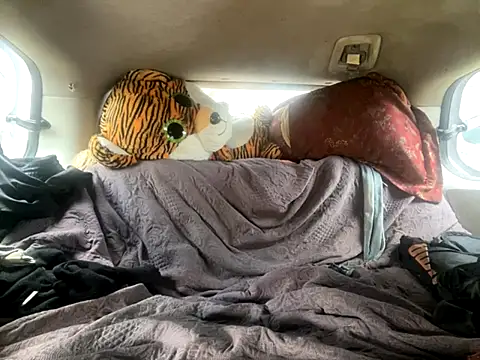 Snapshot of SlimeCrownzOut5 chatting on November 18, 2025, 6:01 pm SlimeCrownzOut5 online show from November 18, 2025, 6:01 pm