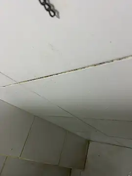 Snapshot of thfrances chatting on February 27, 2026, 3:39 am thfrances online show from February 27, 2026, 3:39 am