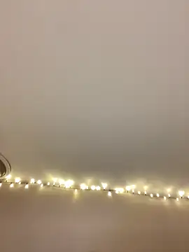 Snapshot of princesslola666 chatting on January 26, 2025, 12:37 am princesslola666 online show from January 26, 2025, 12:37 am