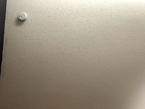 Bigbootylavishh online show from December 17, 2025, 4:35 pm