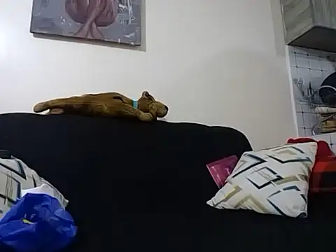 hoely grail01 online show from December 5, 2025, 7:54 pm