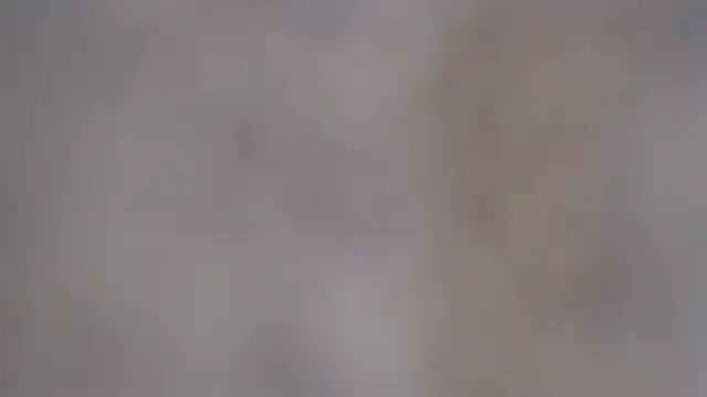 Snapshot of paiper_halliwey chatting on February 8, 2025, 12:50 pm paiper halliwey online show from February 8, 2025, 12:50 pm