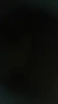 Snapshot of Peshi123 chatting on March 2, 2025, 9:31 am Peshi123 online show from March 2, 2025, 9:31 am