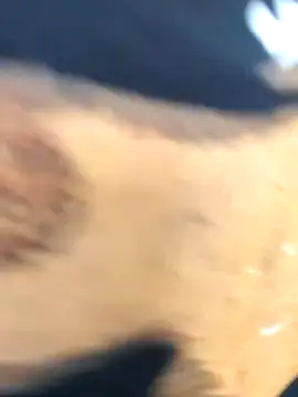 Snapshot of martinna_tay chatting on March 1, 2026, 3:19 am martinna tay online show from March 1, 2026, 3:19 am