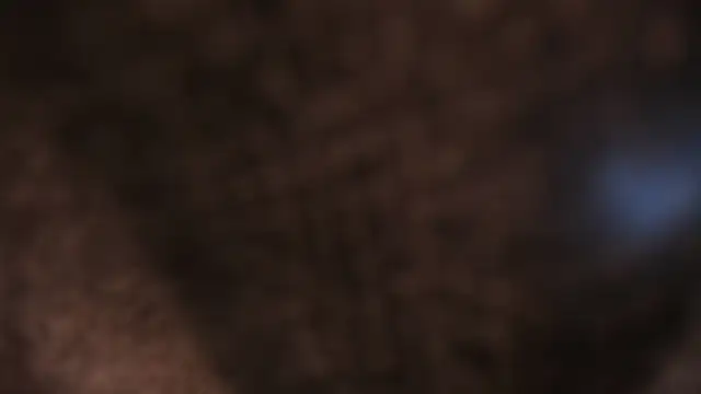 Snapshot of AliceHanz chatting on January 8, 2026, 4:26 am AliceHanz online show from January 8, 2026, 4:26 am