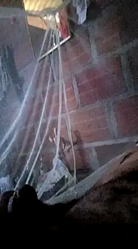 Snapshot of Janle_19c chatting on January 7, 2025, 7:06 pm Janle 19c online show from January 7, 2025, 7:06 pm