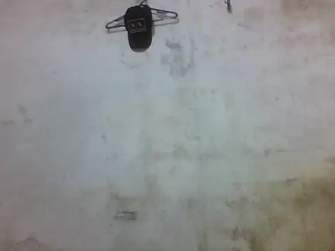 Leopardogonza online show from October 20, 2025, 11:38 pm